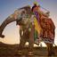 Kolorowe słonie o wschodzie słońca - lep na turystów. Nie dałem się skusić, ale zdjęcie należało zro