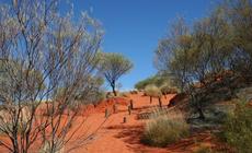 Uluru - pocztówka z Australii