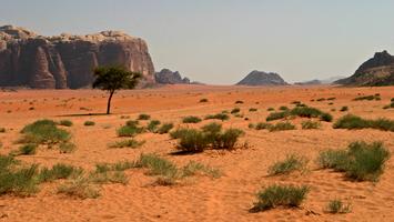 Jordania - barwy  pustyni.