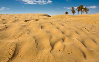 Sahara, Tunezja