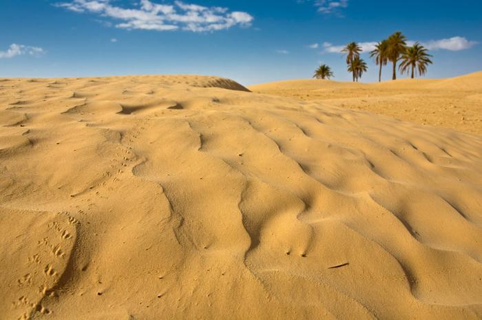 Sahara, Tunezja