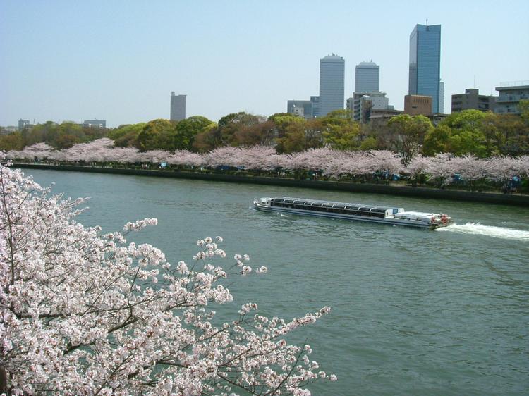 Osaka Wiosną