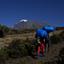 Wejście na Kilimandżaro