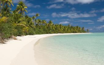 Palmy kokosowe porastające plaże na wyspie Aitutaki