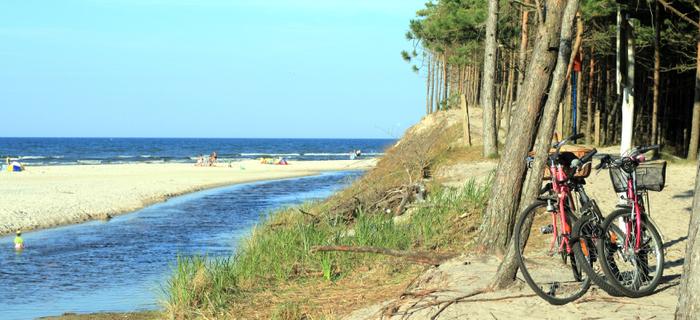 Wybrzeże Bałtyku obfituje