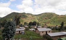 Ruanda - to właśnie tam w 1994 r. wybito ponad 800 tys. ludzi 