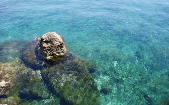 przezroczysta woda to powszechny obrazek na cypryjskim wybrzeżu