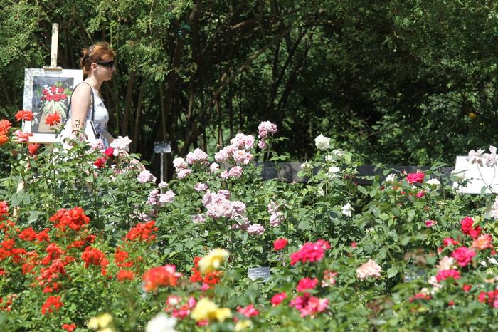 Swięto Kwiatów w Ogrodzie Botanicznym Uniwersytetu Warszawskiego
