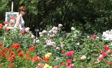 Swięto Kwiatów w Ogrodzie Botanicznym Uniwersytetu Warszawskiego