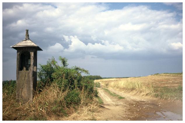 Okolice Zagrody Guciów