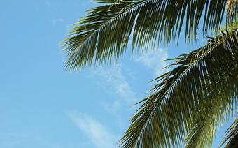 Żimowa oferta TUI to głównie wycieczki na tropikalne plaże