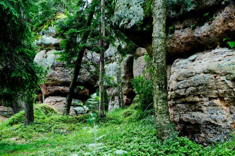 Rezerwat Gór Stołowych oferuje prawdziwie kięzycowe pejzaże