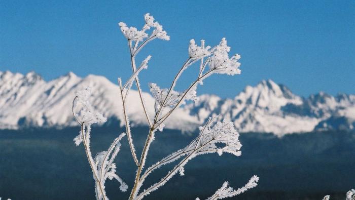 Tatry Wysokie w okolicy Starego Smokowca