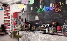 Kopiluwak - klubokawiarnia przy ulicy Sienkiewicza, pełna gości od rana do nocy