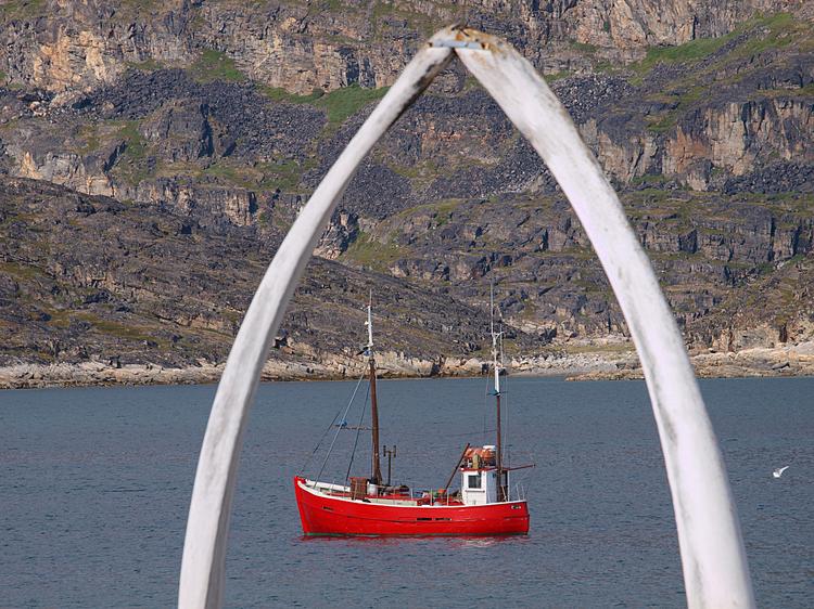Brama z żeber wieloryba w porcie Qeqertarsuaq na wyspie Disko