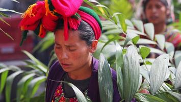 Gwatemala: W pasy i romby