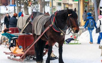 Zakopane