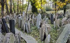Praga atrakcje - Cmentarz Żydowski