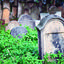 Ciekawe miejsca w Polsce: Tarnów, cmentarz żydowski