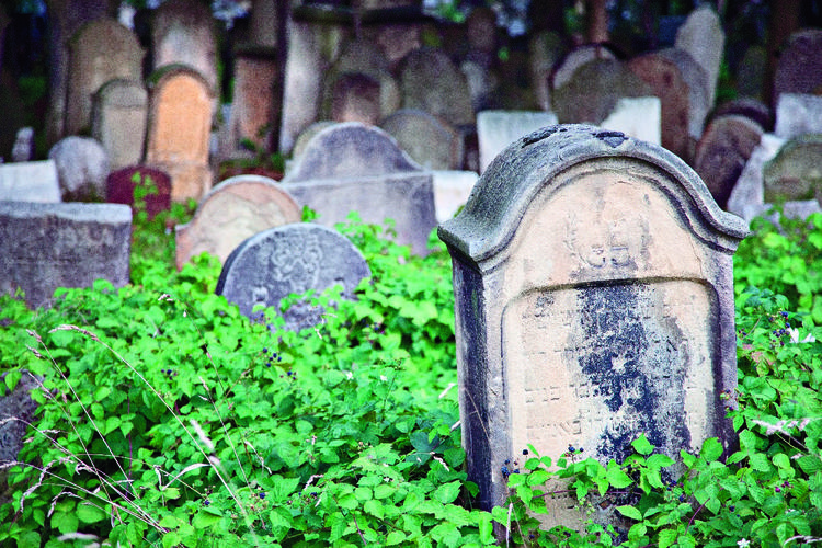 Ciekawe miejsca w Polsce: Tarnów, cmentarz żydowski