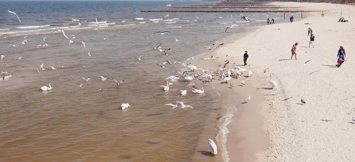 Kołobrzeg - plaża w Kołobrzegu