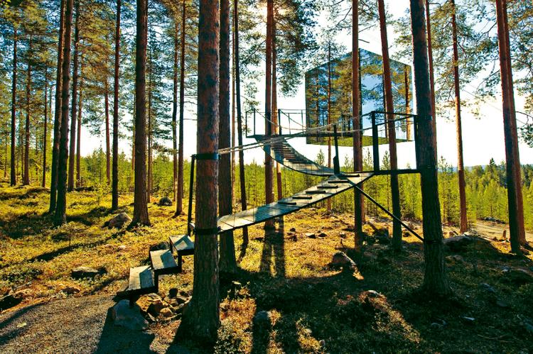Szwecja - Hotel na drzewie