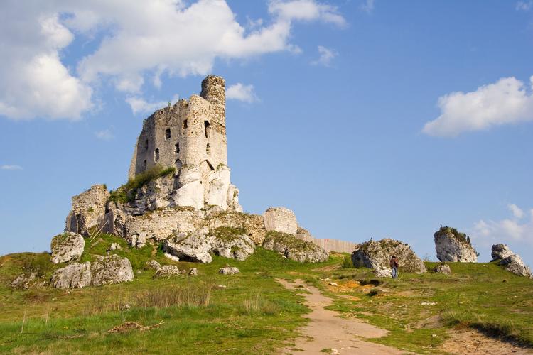 Szlak Orlich Gniazd: Zamek w Mirowie