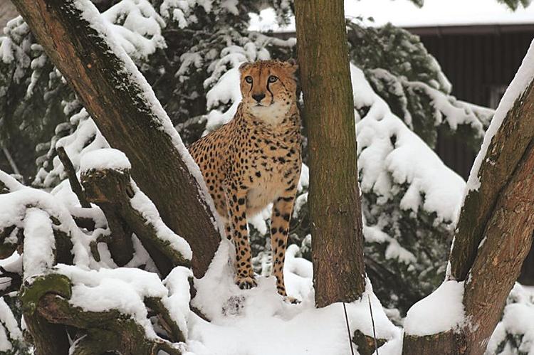 Atrakcje w Warszawie: ZOO na Pradze Północ