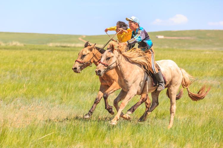 Wyścigi konne, Mongolia