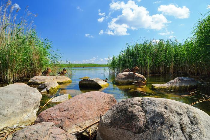 Jeziora w Polsce: Śniardwy