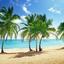 Plaża na Dominikanie