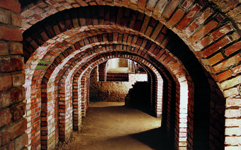 Rzeszowskie piwnice