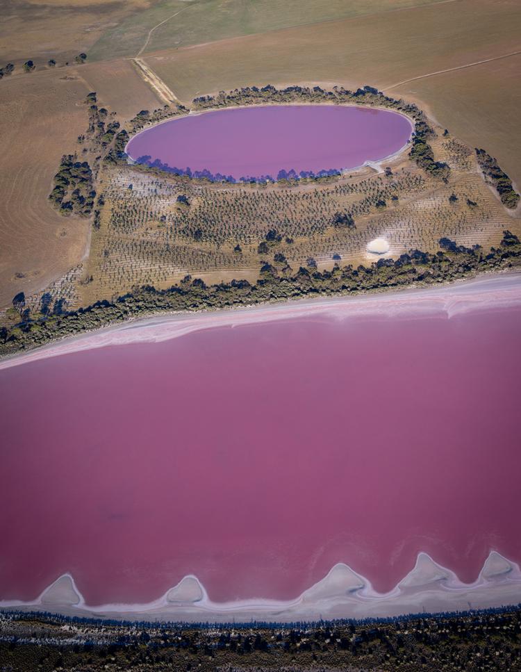 Australia, Różowe jezioro Hillier