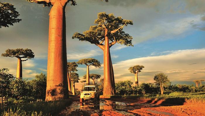 Madagaskar