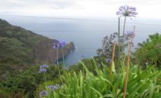 Odkrywamy wyspę wiecznej wiosny: Madera