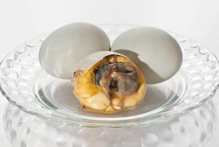 Jajko z embrionem