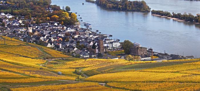 Rudesheim