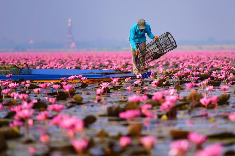 Tajlandia - Jezioro Nong Han