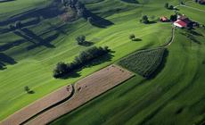 Szwajcaria: krajobraz rolniczy w pobliżu wioski Le Planet, gmina Le Châtelard, kanton Fribourg