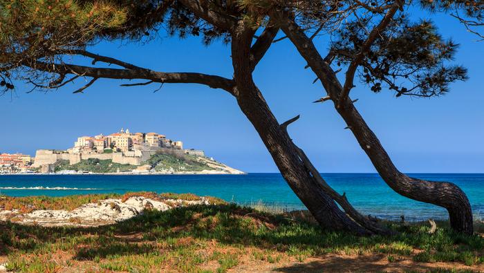 Korsyka: Calvi