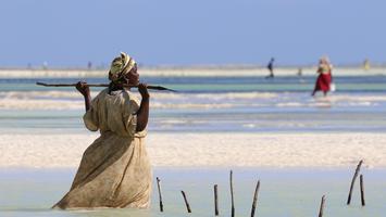 Zanzibar – pogoda i rajskie plaże - Polacy pokochali ten kraj!