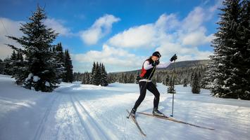 Góry Izerskie - najlepsze trasy na narty biegowe