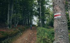 Weekend w Beskidach nie może się obyć bez wędrówki czerwonym szlakiem, który biegnie przez całe to pasmo