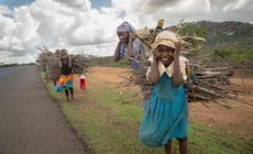 Kenia. Dzieci pomagają rodzicom od najmłodszych lat