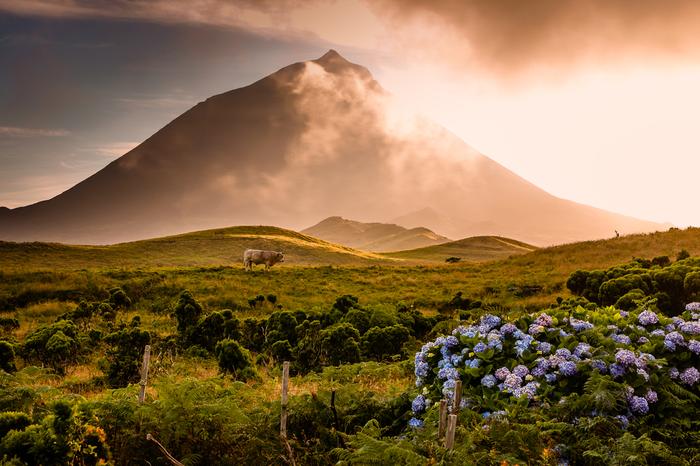 Wulkan Pico na Azorach