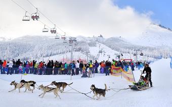 Festiwal Śnieżne Psy 