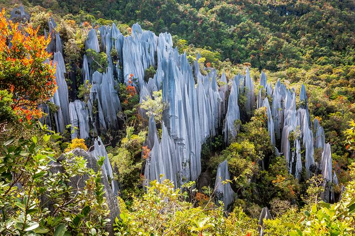 Pinnacles Borneo