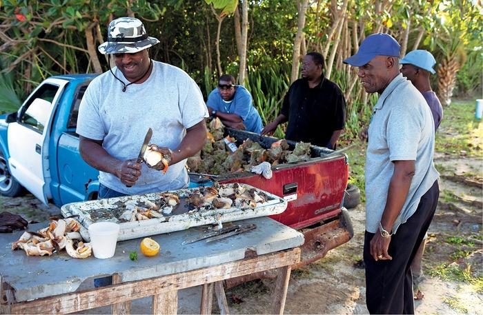 Konchy poławia się głównie na rozległych płyciznach Wielkiej Ławicy Bahamskiej