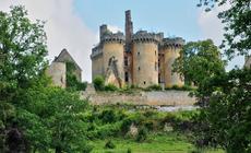 Zamek w Saint-Vincent-le-Paluel 