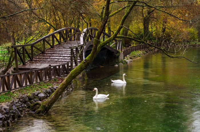Park Vrelo Bosne w Sarajewie